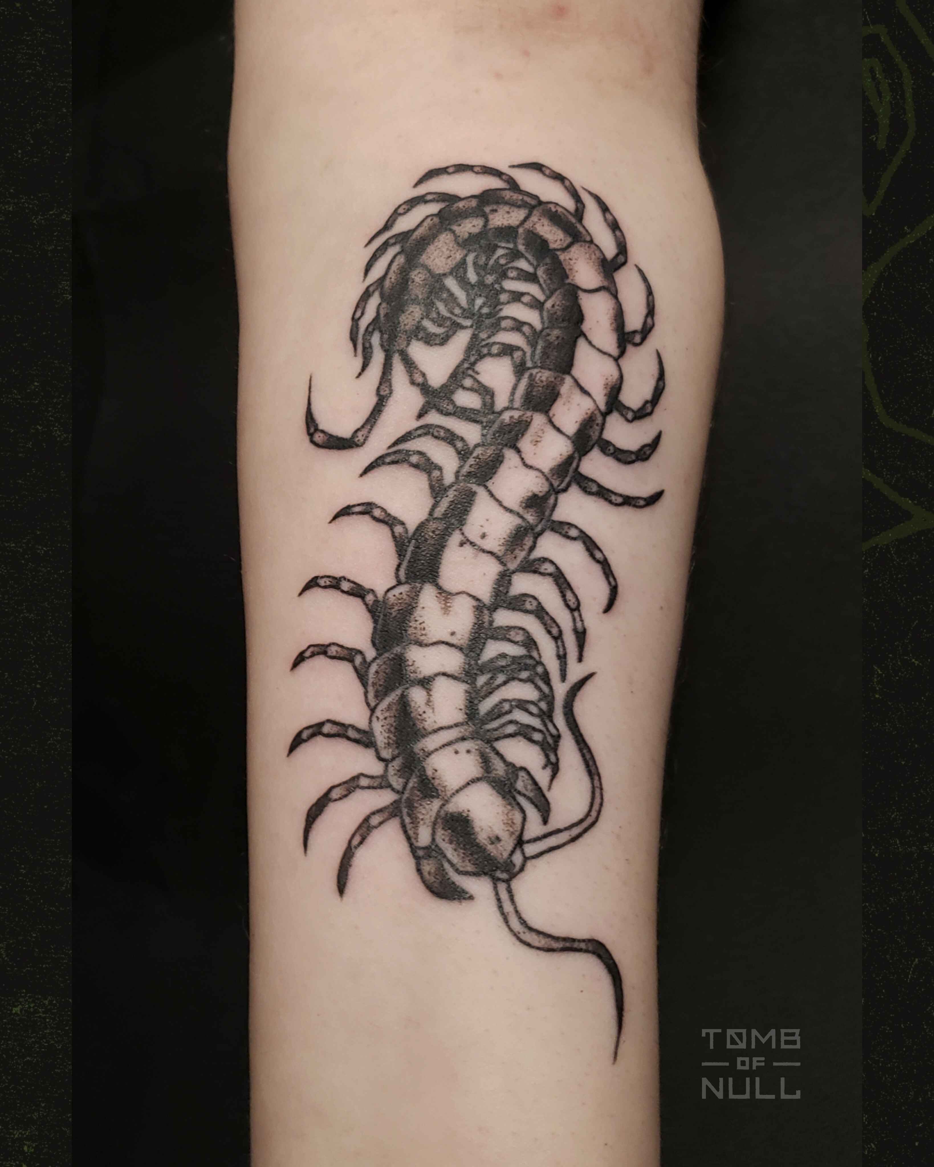 A photo of a tattoo of a centipede on light skin.