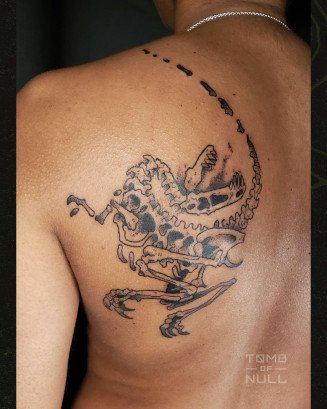 08-06-2025-tat-hl-1.jpg