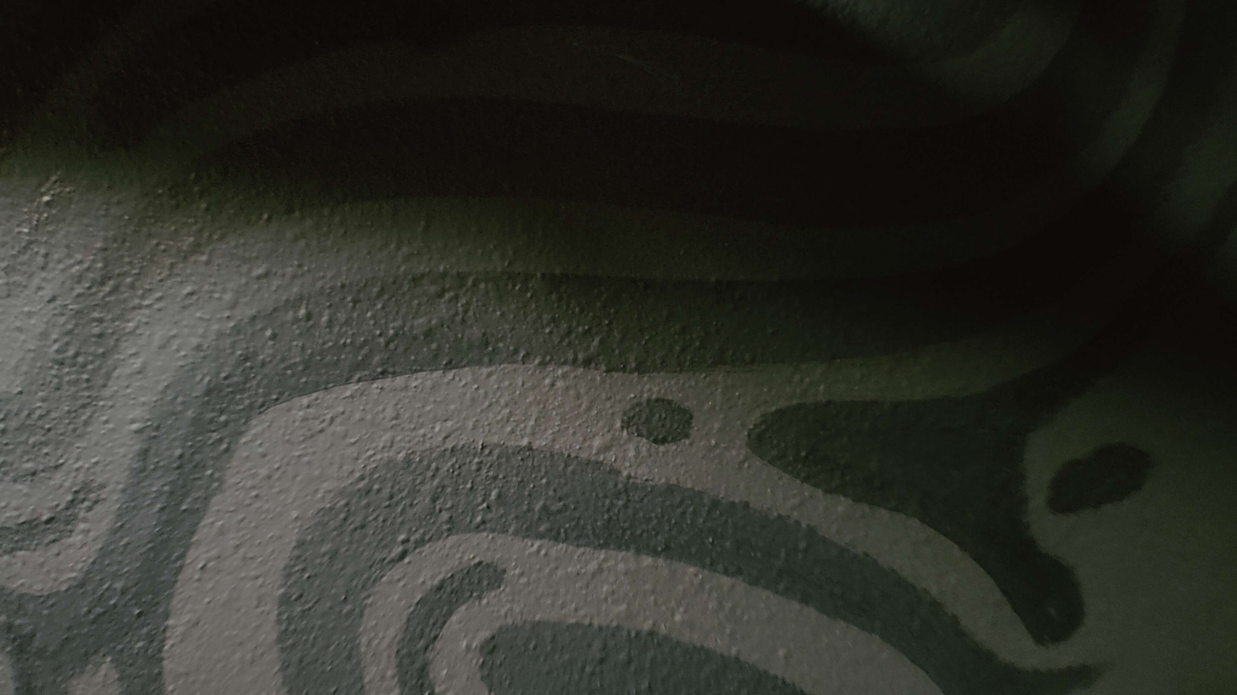 Photo of a close up of a mural on a wall. It takes on the form of subtle, organic forms akin to microscopic lifeforms.